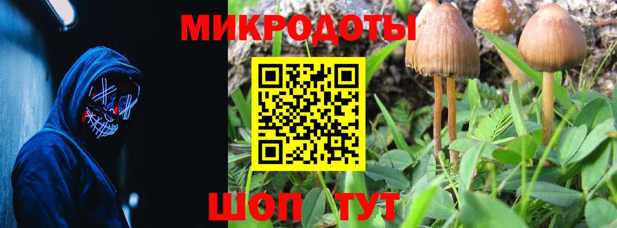 Псилоцибиновые грибы MAGIC MUSHROOMS  Псилоцибиновые грибы GOLDEN TEACHER  Берёзовский  Вход с VPN 
